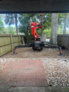 Business queued-photos - Mitchell’s Tree Service