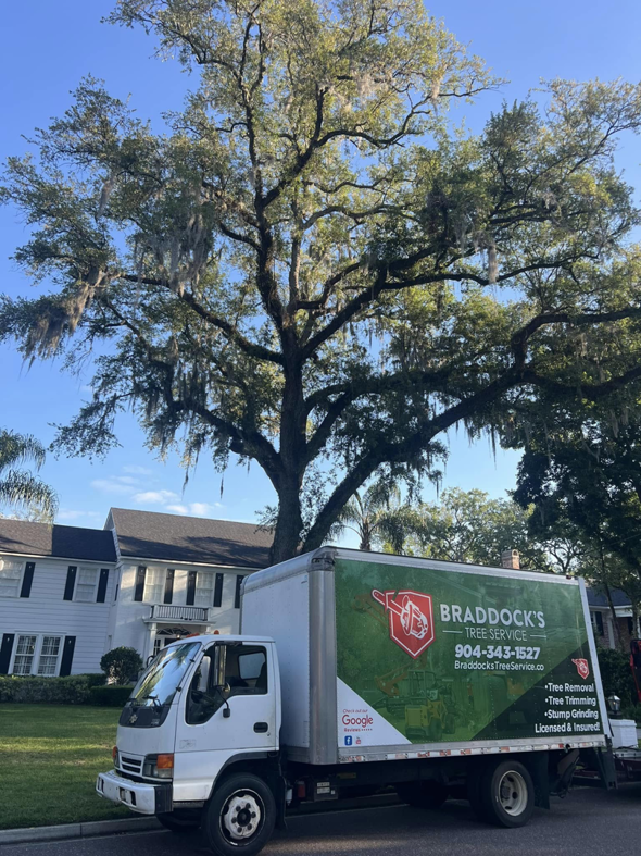 Business queued-photos - Braddock’s Tree Service