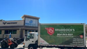 Business queued-photos - Braddock’s Tree Service