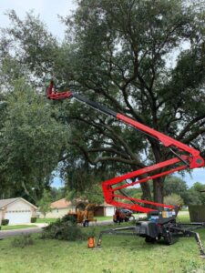 Business queued-photos - Braddock’s Tree Service