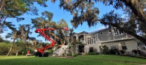 Business queued-photos - Braddock’s Tree Service