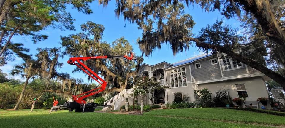 Business queued-photos - Braddock’s Tree Service