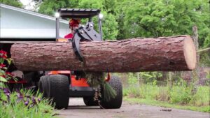 Business queued-photos - Braddock’s Tree Service