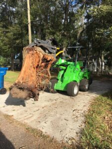 Business queued-photos - Braddock’s Tree Service