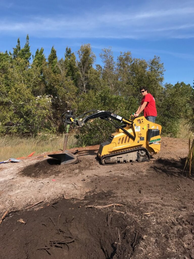 Business queued-photos - Braddock’s Tree Service