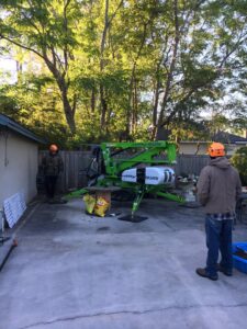 Business queued-photos - Braddock’s Tree Service