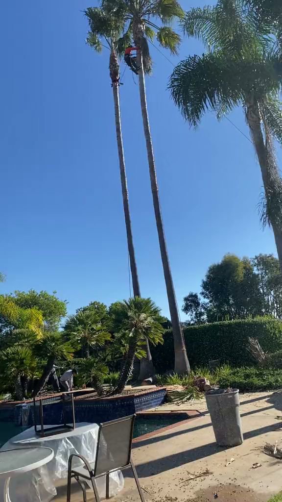 Business queued-photos - SA Tree Care & Maintenance