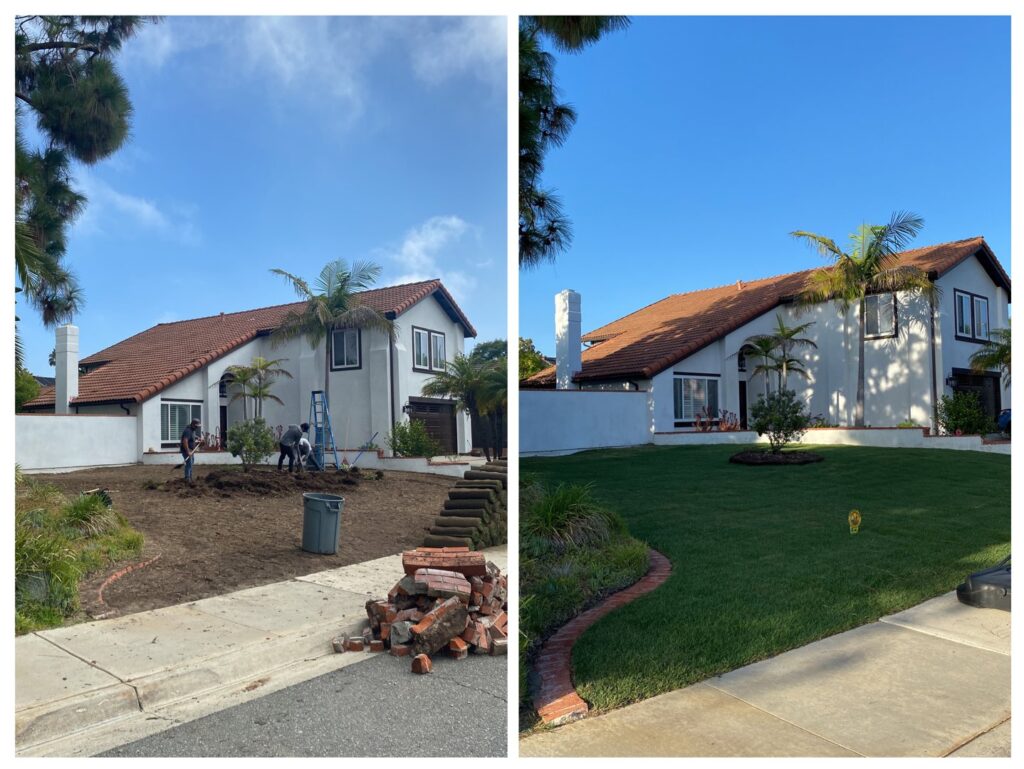 Business queued-photos - SA Tree Care & Maintenance