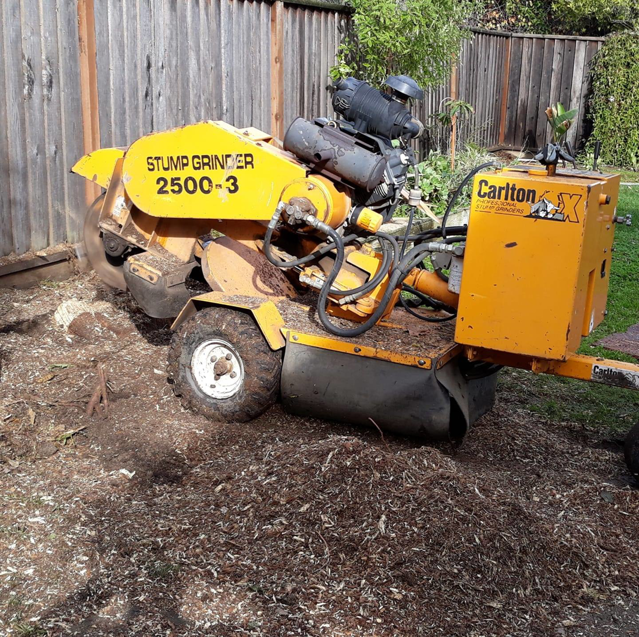 Business queued-photos - New Horizon Tree Service