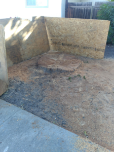 Business queued-photos - New Horizon Tree Service