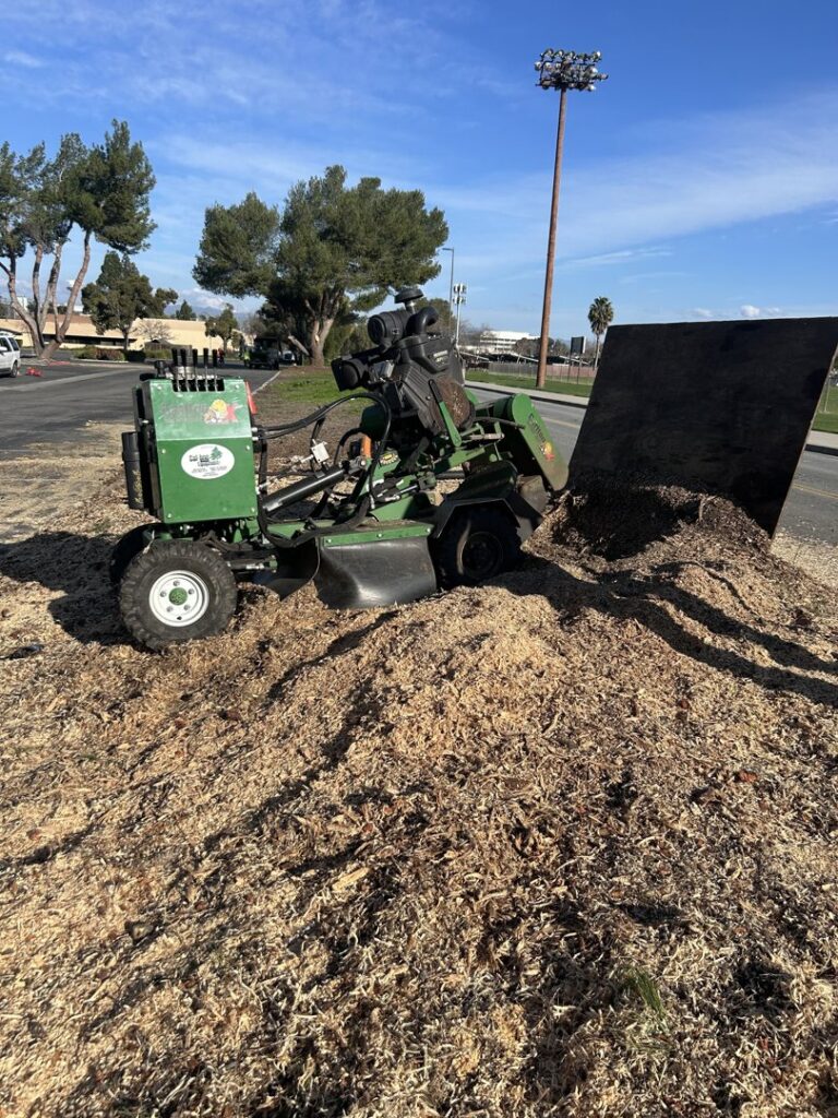 Business queued-photos - New Horizon Tree Service