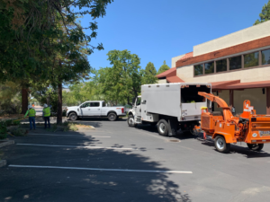 Business queued-photos - NewVista Tree Service
