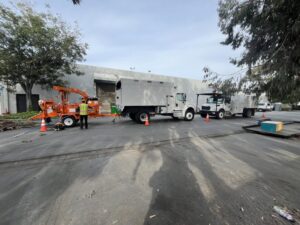 Business queued-photos - NewVista Tree Service