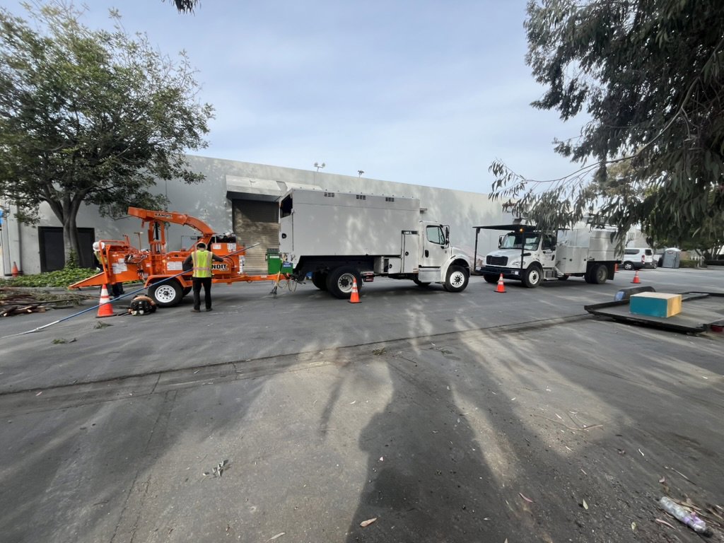 Business queued-photos - NewVista Tree Service