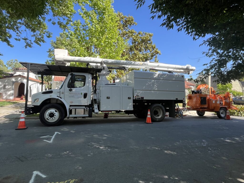 Business queued-photos - NewVista Tree Service