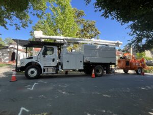 Business queued-photos - NewVista Tree Service