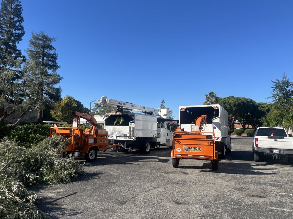 Business queued-photos - NewVista Tree Service