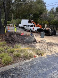 Business queued-photos - NewVista Tree Service