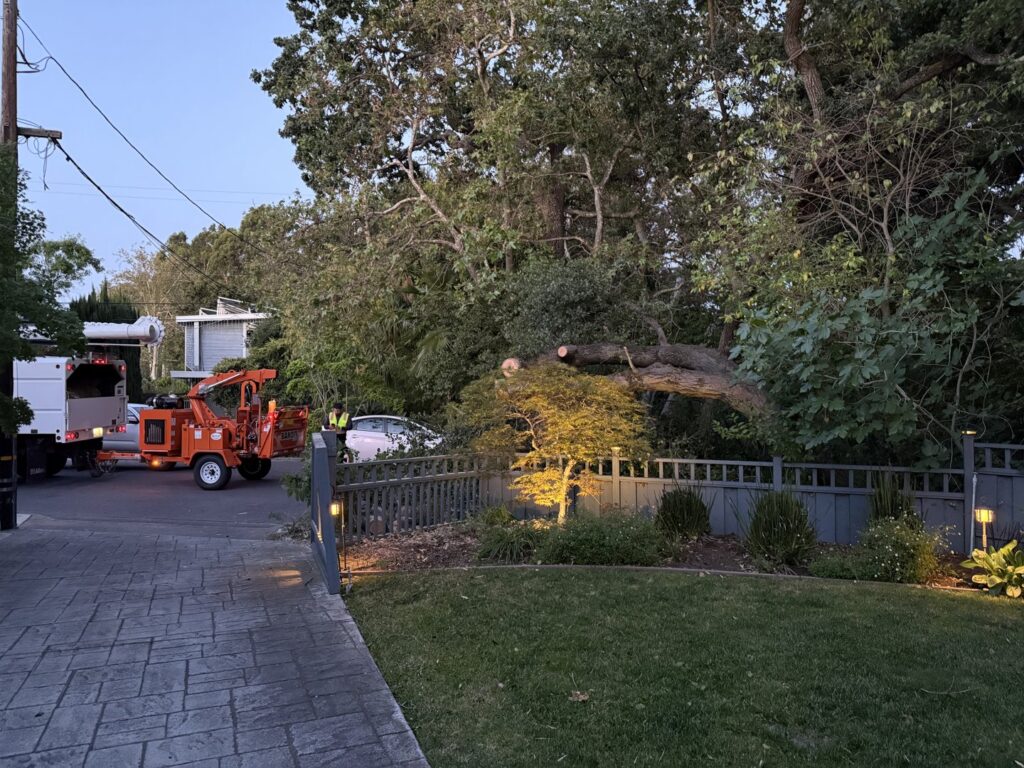 Business queued-photos - NewVista Tree Service