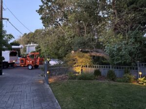 Business queued-photos - NewVista Tree Service