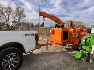Business queued-photos - NewVista Tree Service