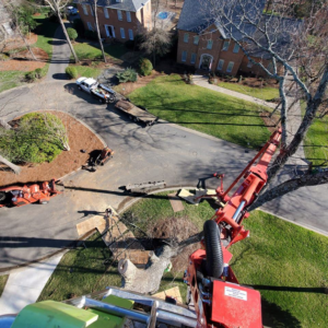 Business queued-photos - Combs’ Tree Service