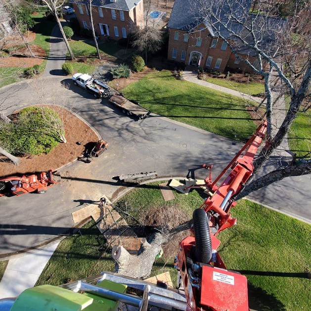Business queued-photos - Combs’ Tree Service