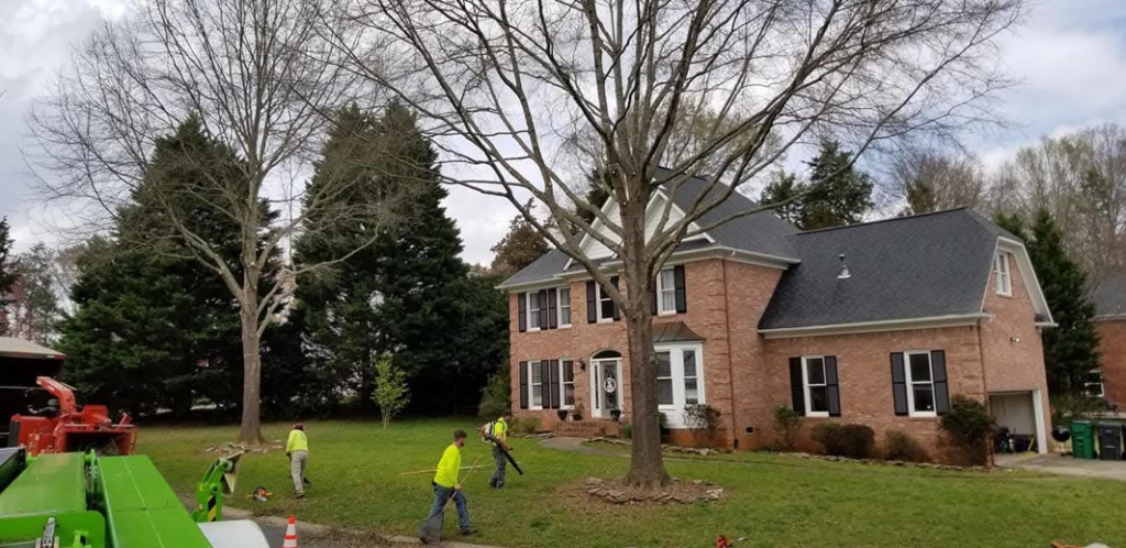 Business queued-photos - Combs’ Tree Service