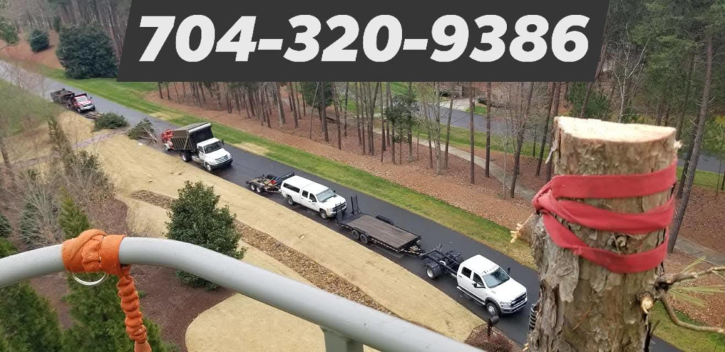 Business queued-photos - Combs’ Tree Service