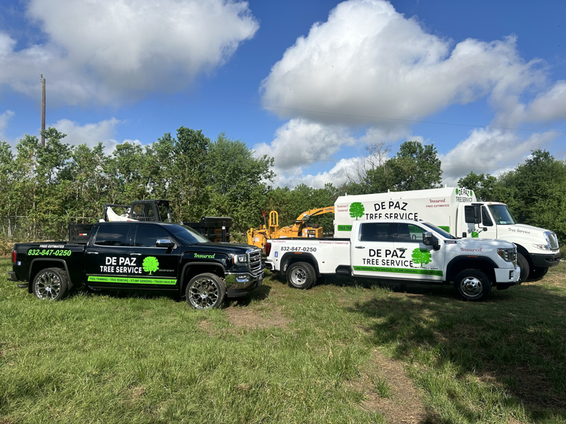 Business queued-photos - De Paz Tree Service