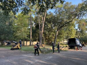 Business queued-photos - De Paz Tree Service