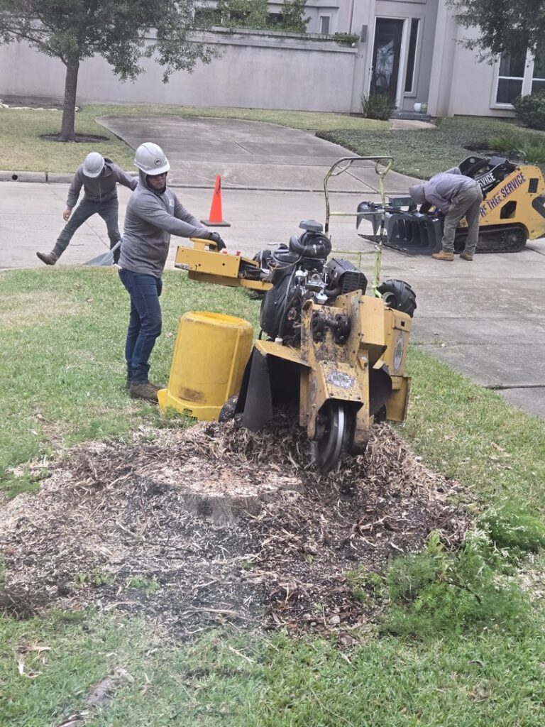 Business queued-photos - De Paz Tree Service