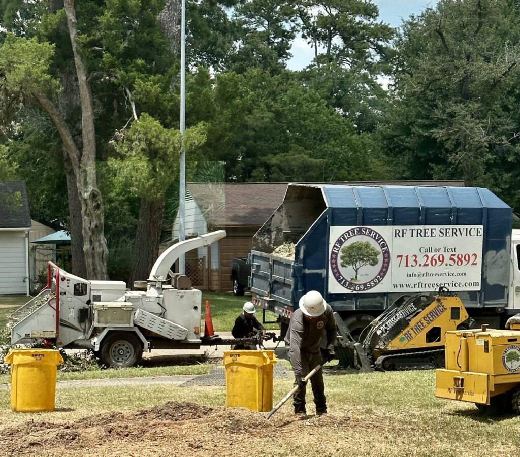 Business queued-photos - De Paz Tree Service