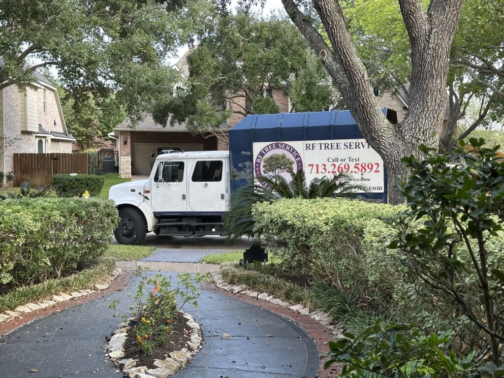 Business queued-photos - De Paz Tree Service