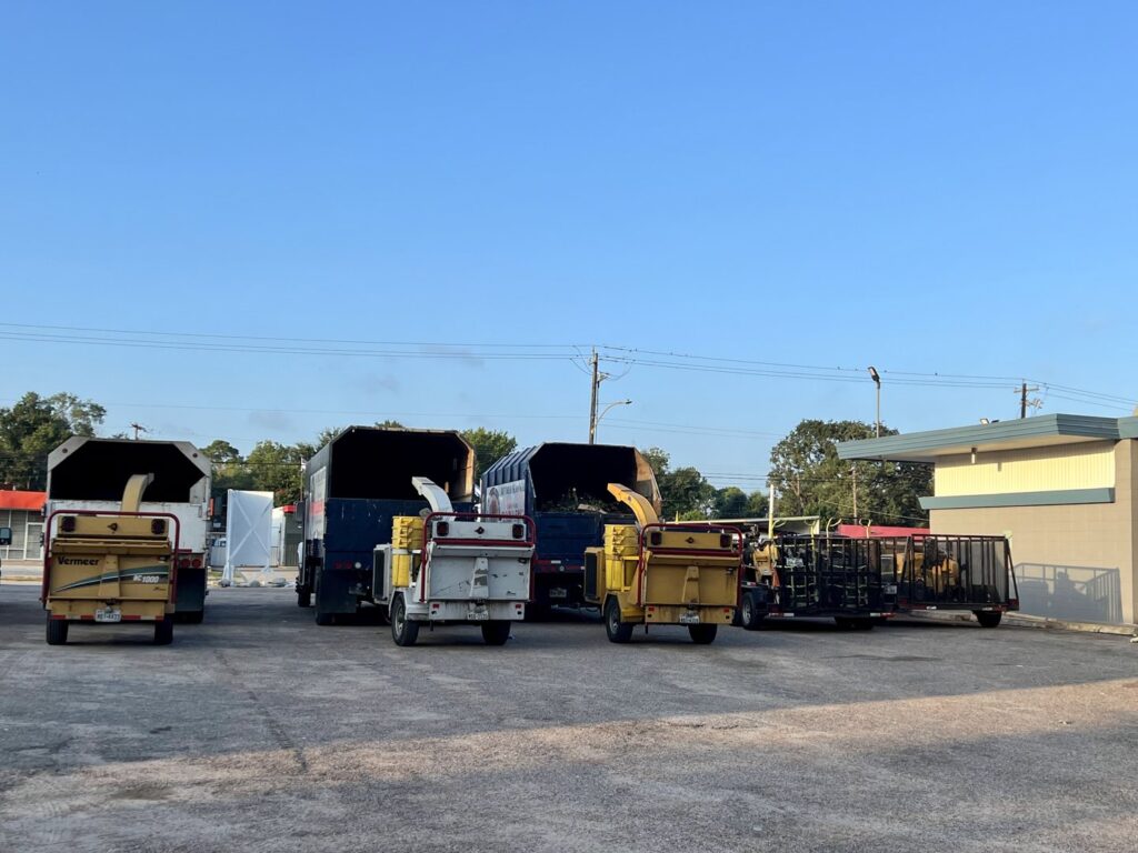 Business queued-photos - De Paz Tree Service