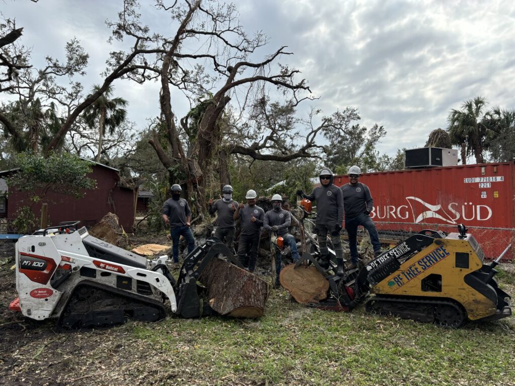 Business queued-photos - De Paz Tree Service