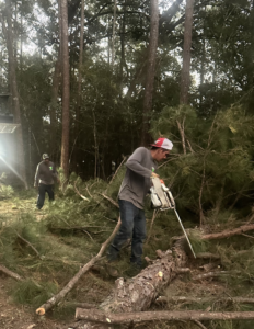 Business queued-photos - De Paz Tree Service