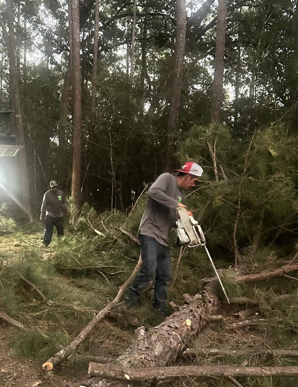 Business queued-photos - De Paz Tree Service