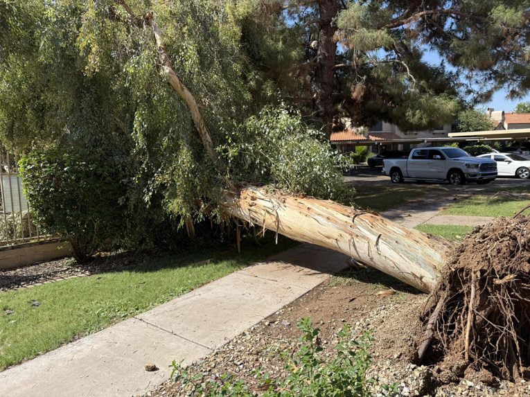 Business queued-photos - The Arbor Barber