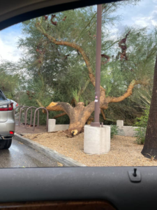 Business queued-photos - The Arbor Barber