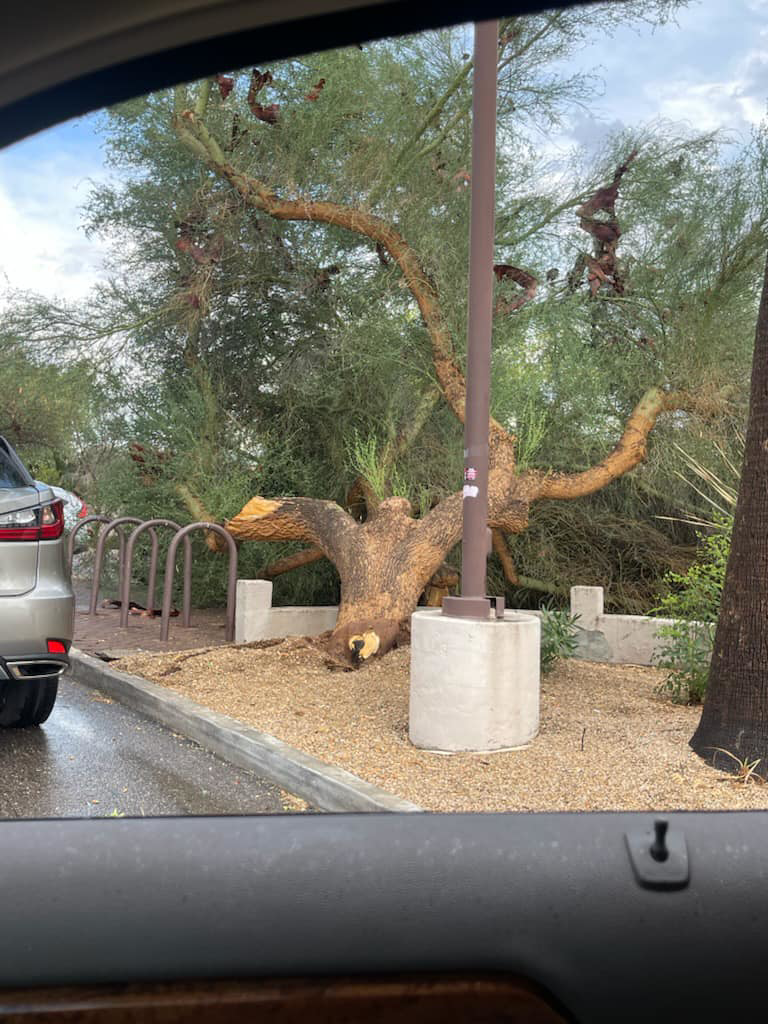 Business queued-photos - The Arbor Barber