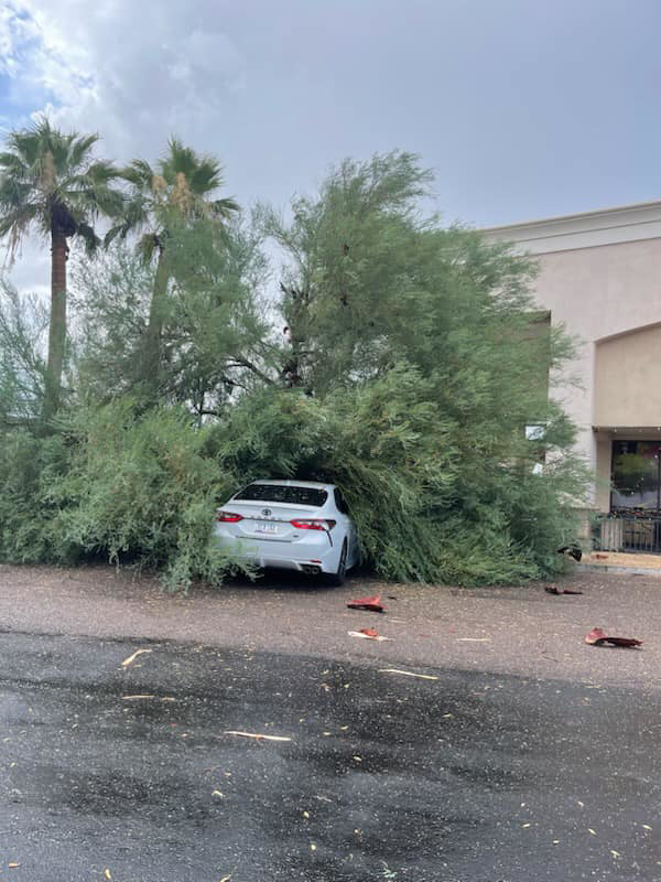 Business queued-photos - The Arbor Barber