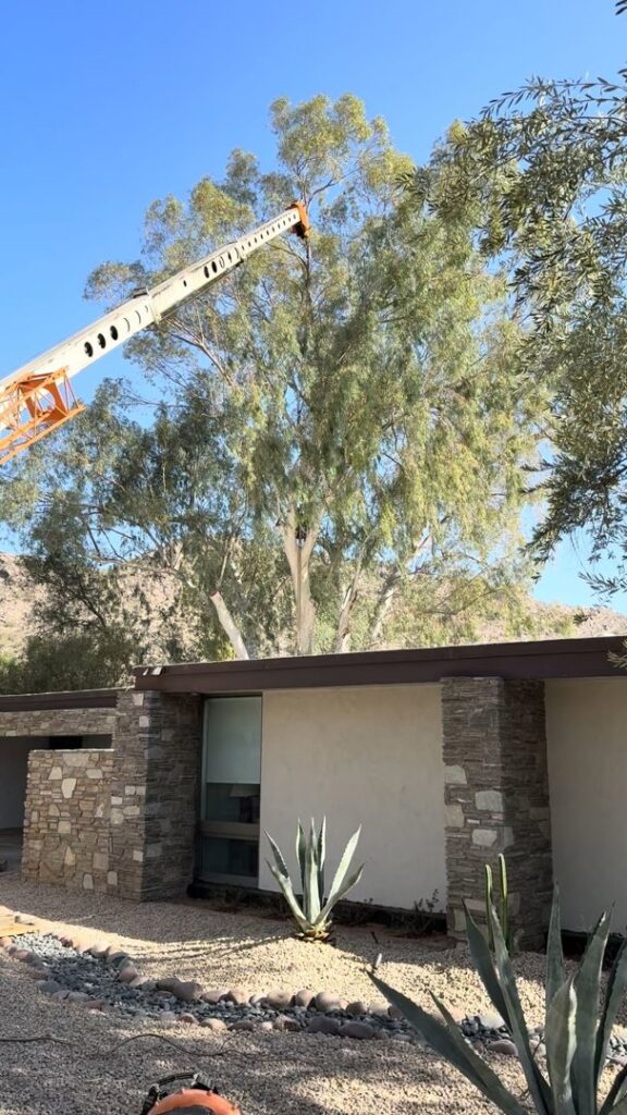 Business queued-photos - The Arbor Barber