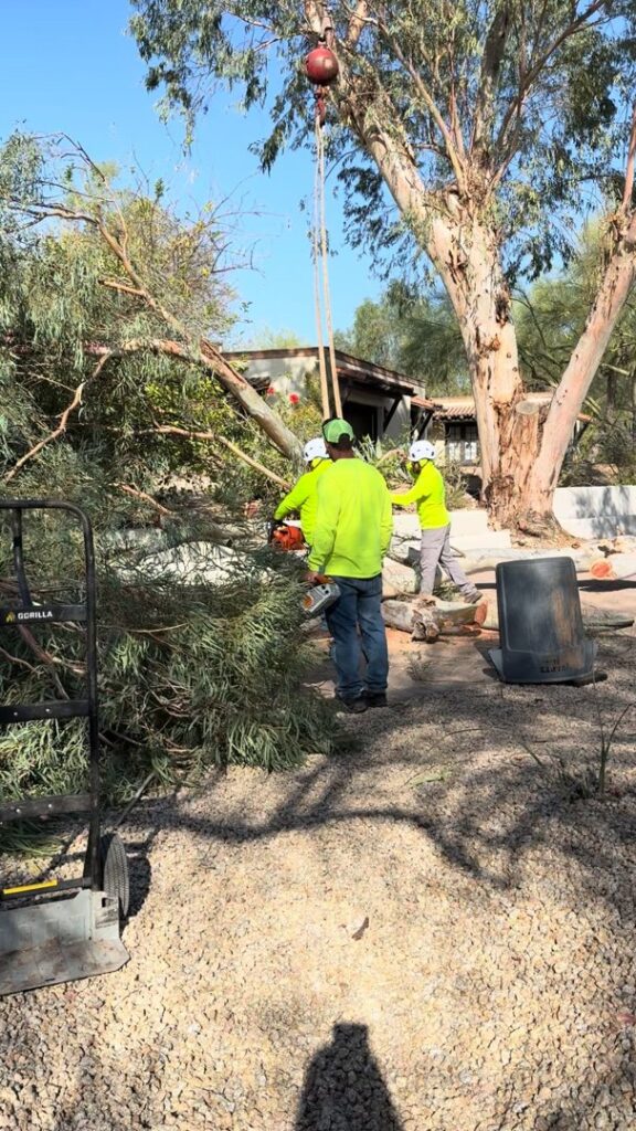Business queued-photos - The Arbor Barber