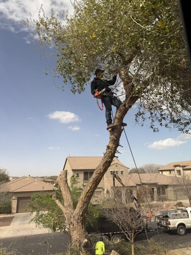 Business queued-photos - The Arbor Barber