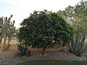 Business queued-photos - The Arbor Barber