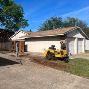 Business queued-photos - JP Tree Services