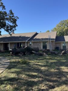 Business queued-photos - JP Tree Services