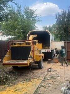 Business queued-photos - JP Tree Services