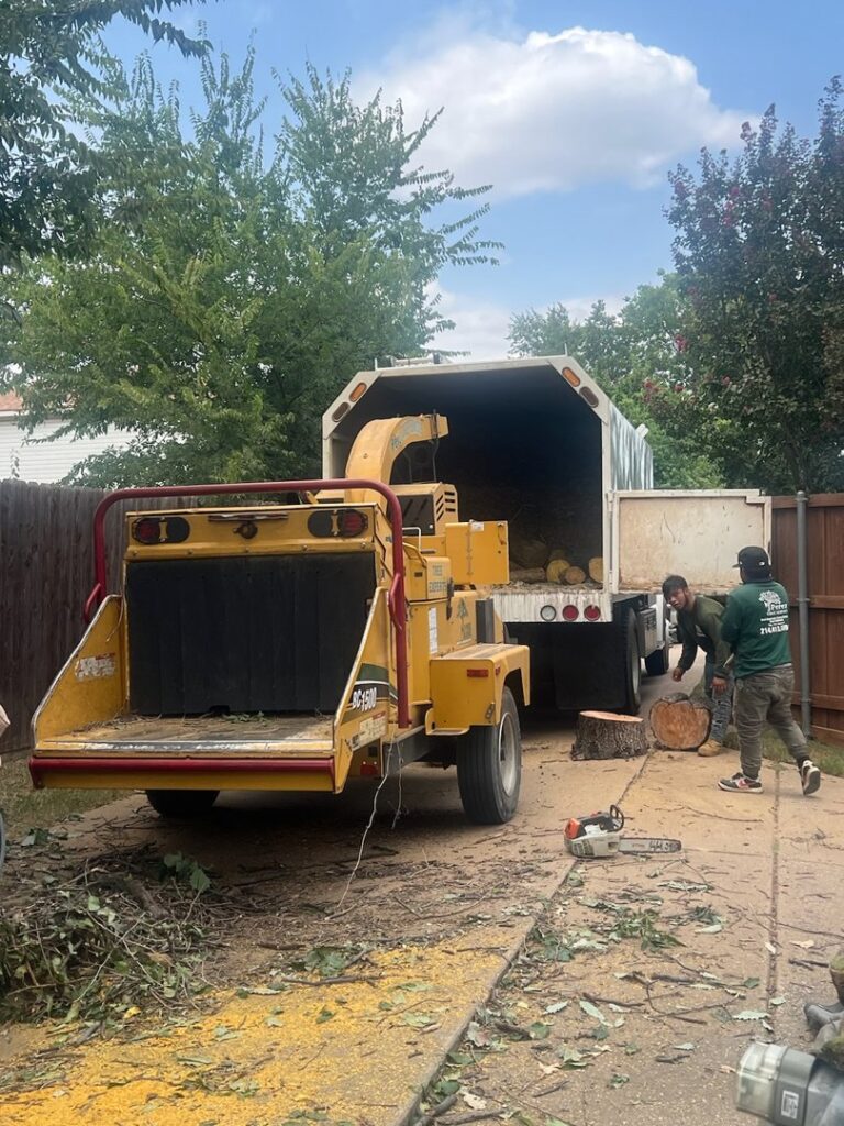 Business queued-photos - JP Tree Services